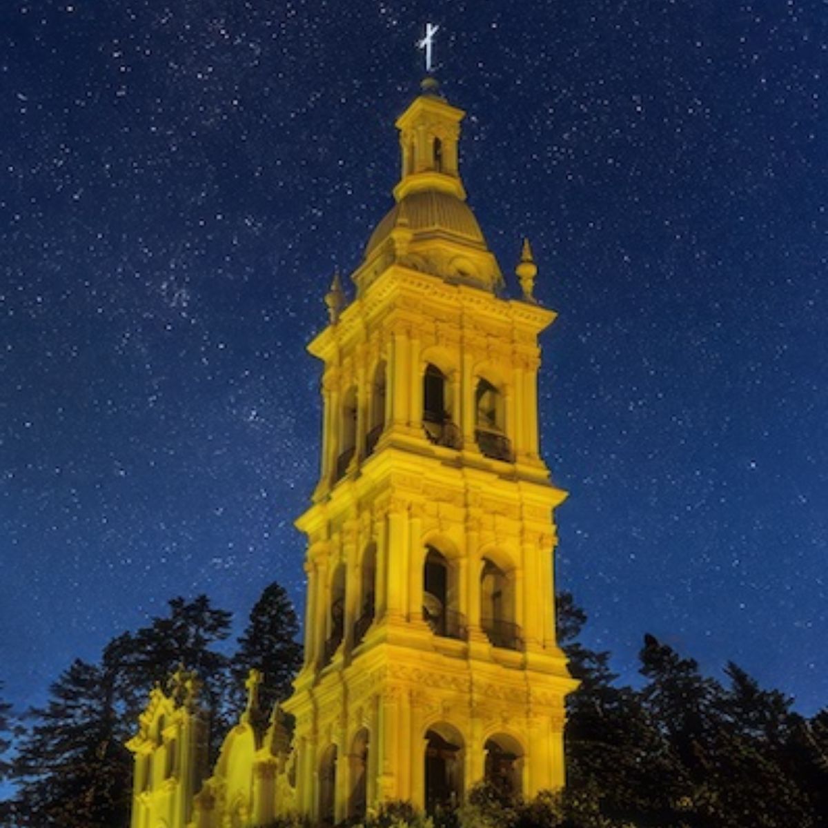 A tall, illuminated bell tower stands against a starry night sky, with trees framing the scene.