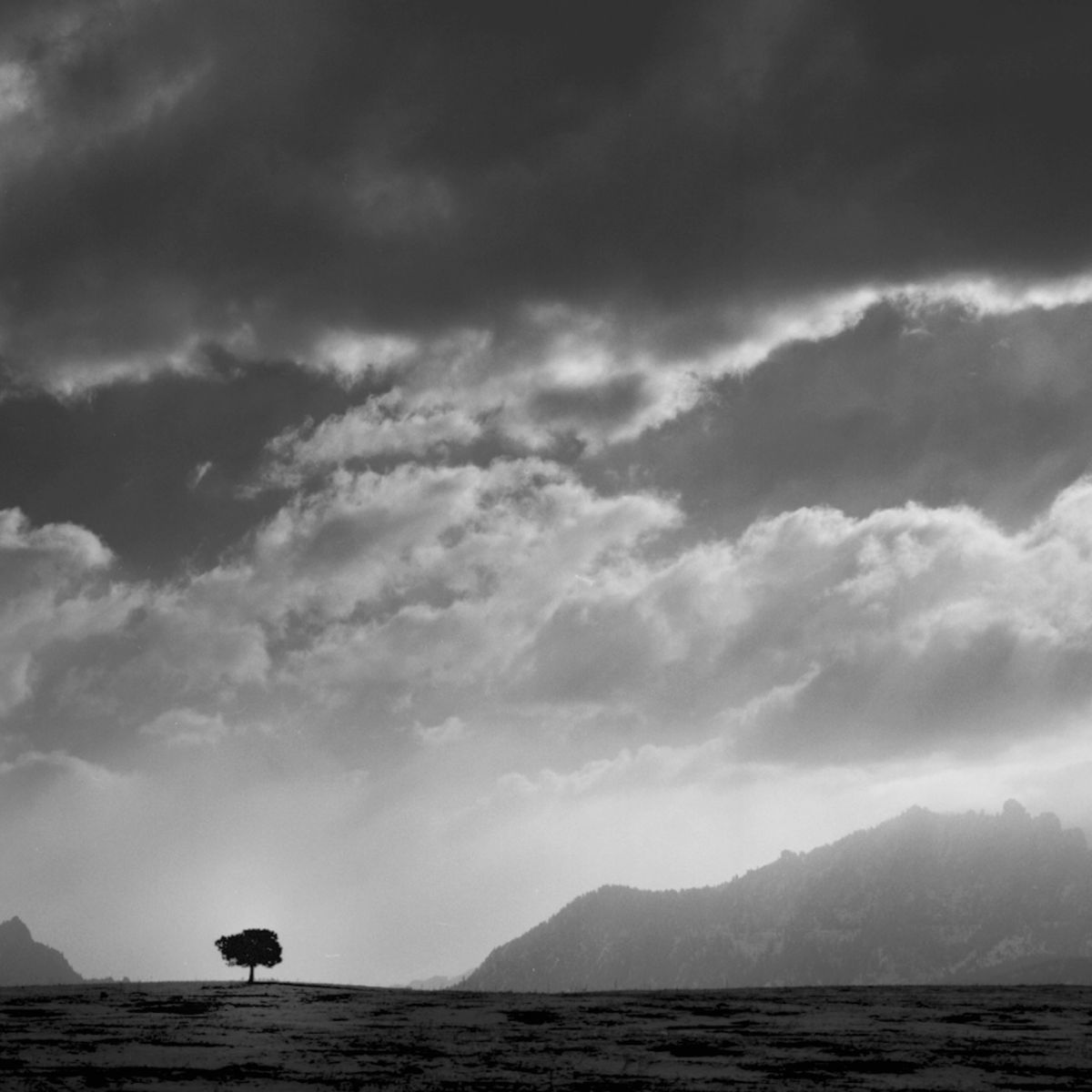 A lone tree stands on a vast plain under dramatic, cloudy skies and distant mountains.